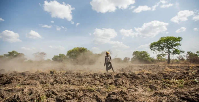 Fondation Européenne pour le Climat